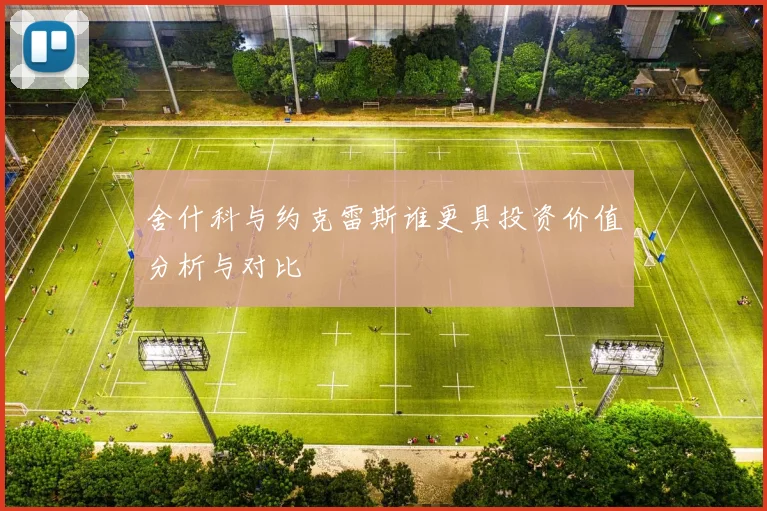 舍什科与约克雷斯谁更具投资价值分析与对比